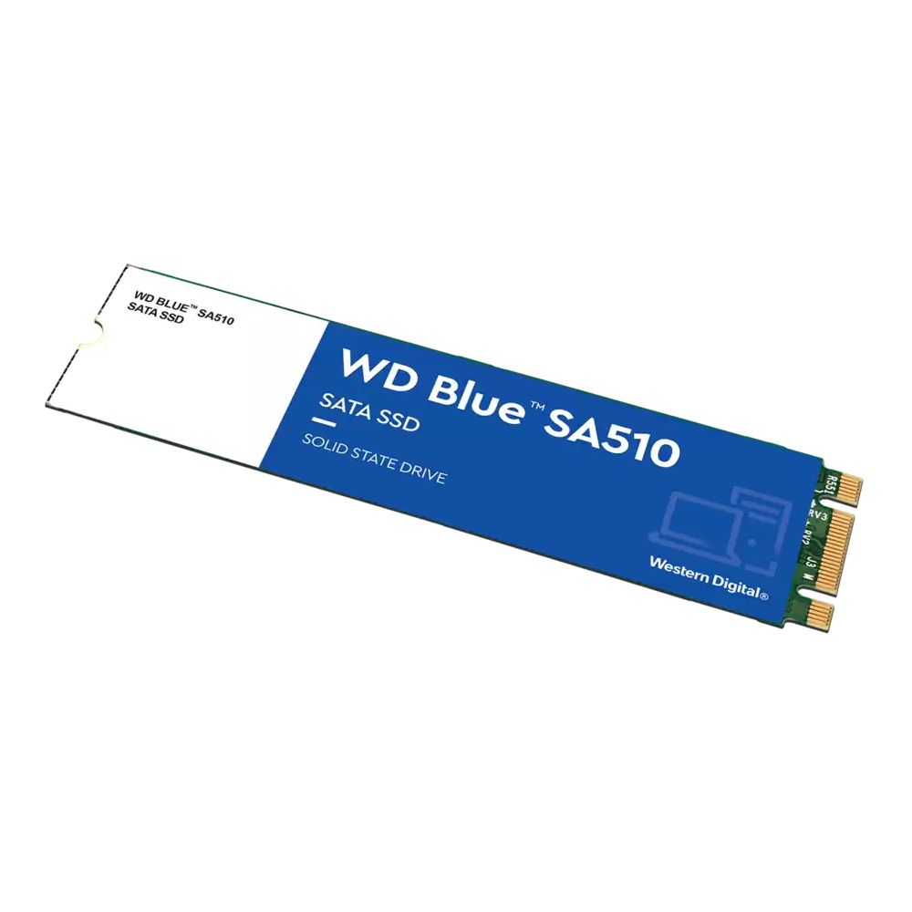 Твердотельный накопитель WD Blue SA510 M.2 2280 {10} (884701) (WDS100T3B0B)