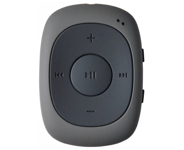 Плеер Flash Digma C2 L 4 Gb серый/FM/clip