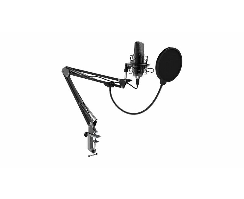 Микрофон RITMIX RDM-169 Black