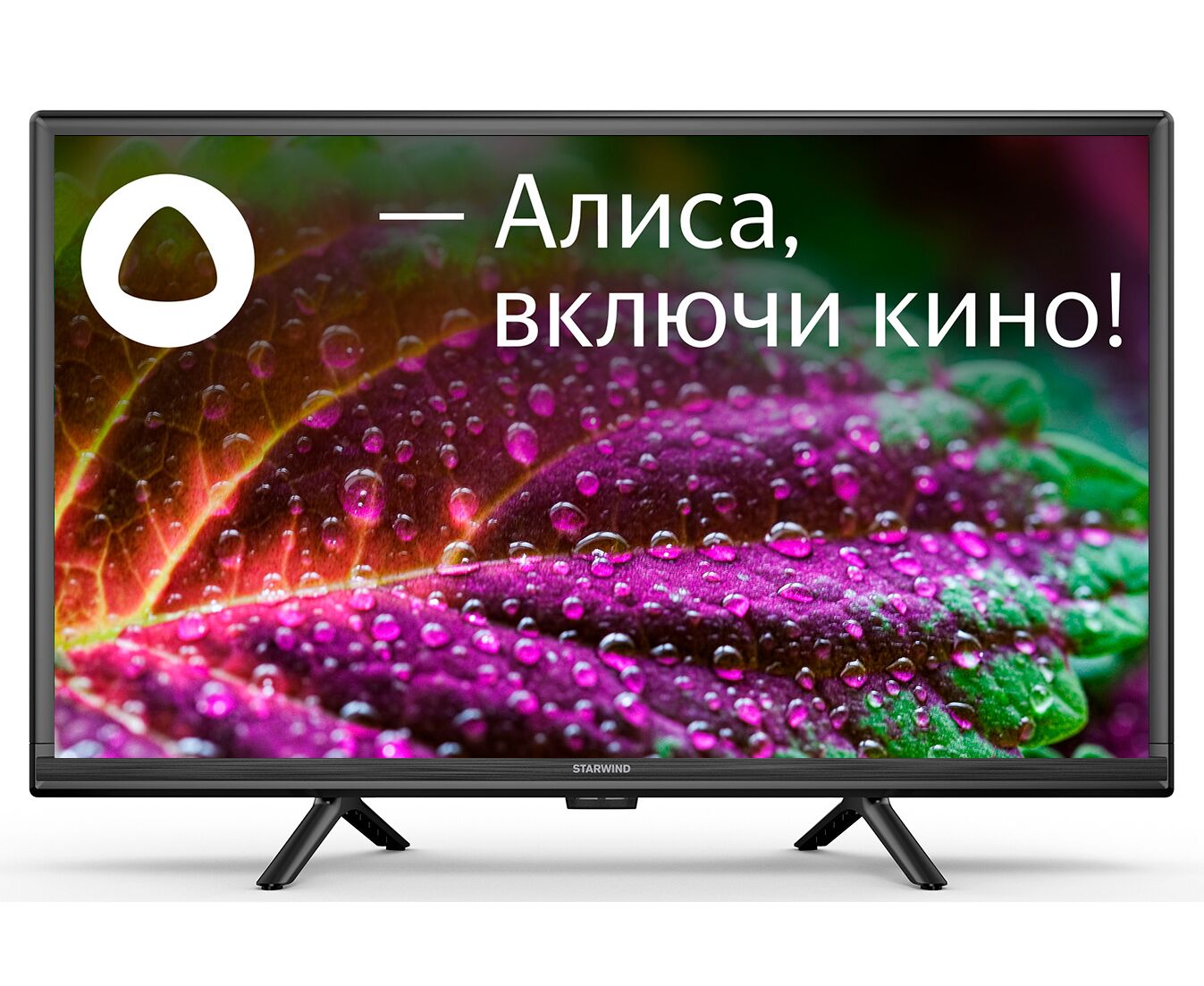 24" Телевизор Starwind SW-LED24 SG304 чёрный 1366x768, HD, 60 Гц, Wi-Fi, Smart TV, Яндекс.ТВ