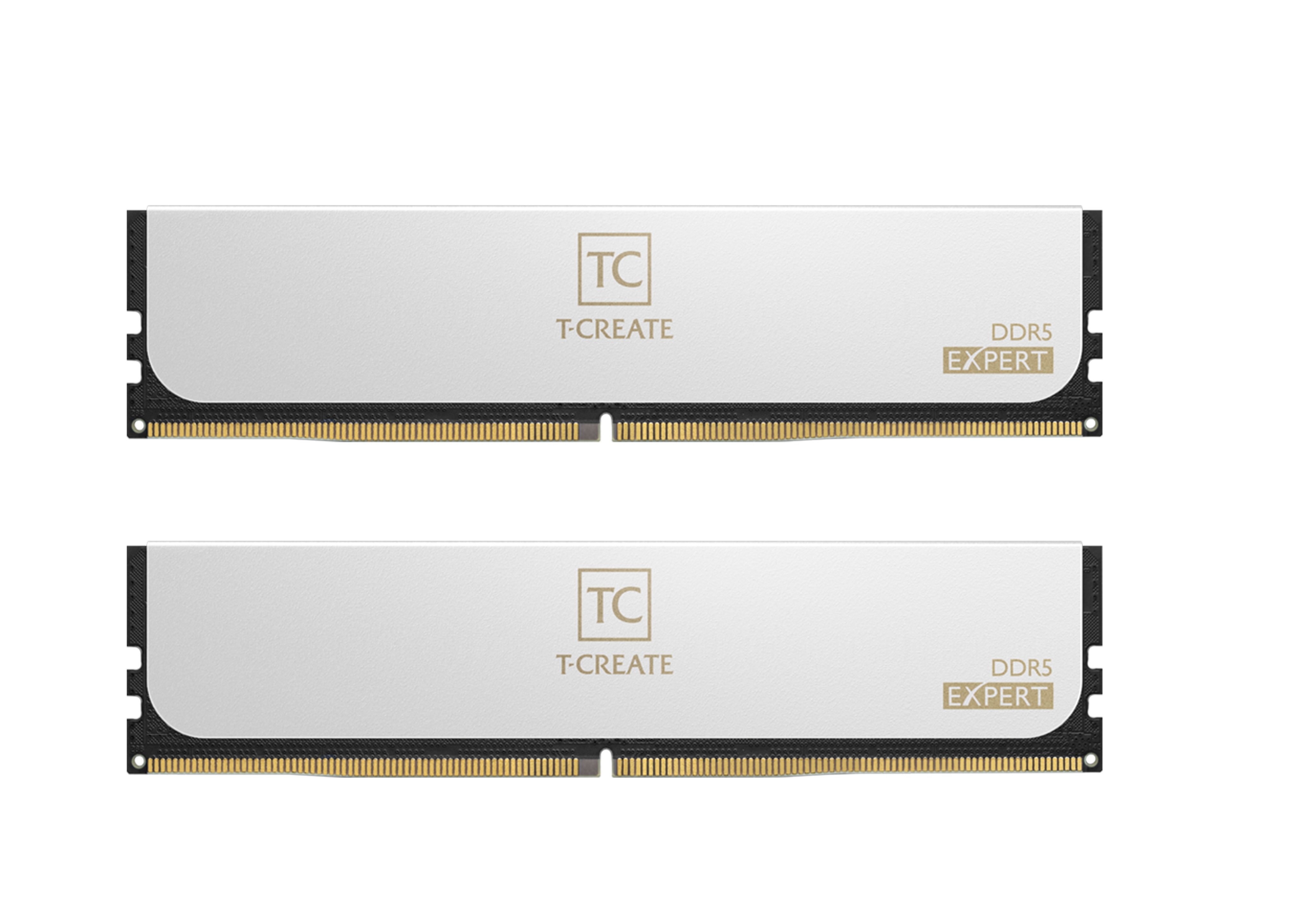 ОЗУ Team Group T-Create Expert 64Gb (CTCWD564G6400HC40BDC01) DDR5 White