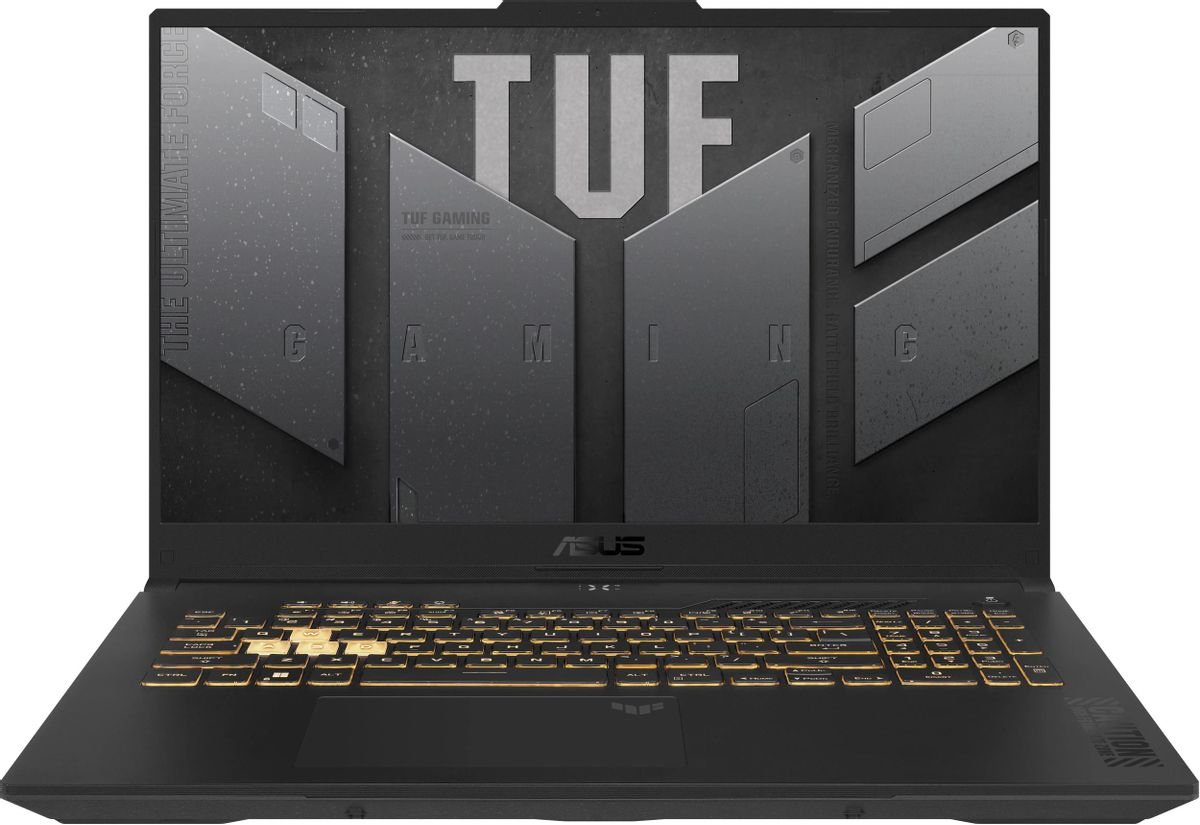 Ноутбук Asus TUF Gaming F17 FX707VJB-HX100 (90NR0MY5-M003R0) Core 5 210H 16Gb SSD512Gb NVIDIA GeForce RTX 3050 6Gb IPS FHD (1920x1080) без ОС grey