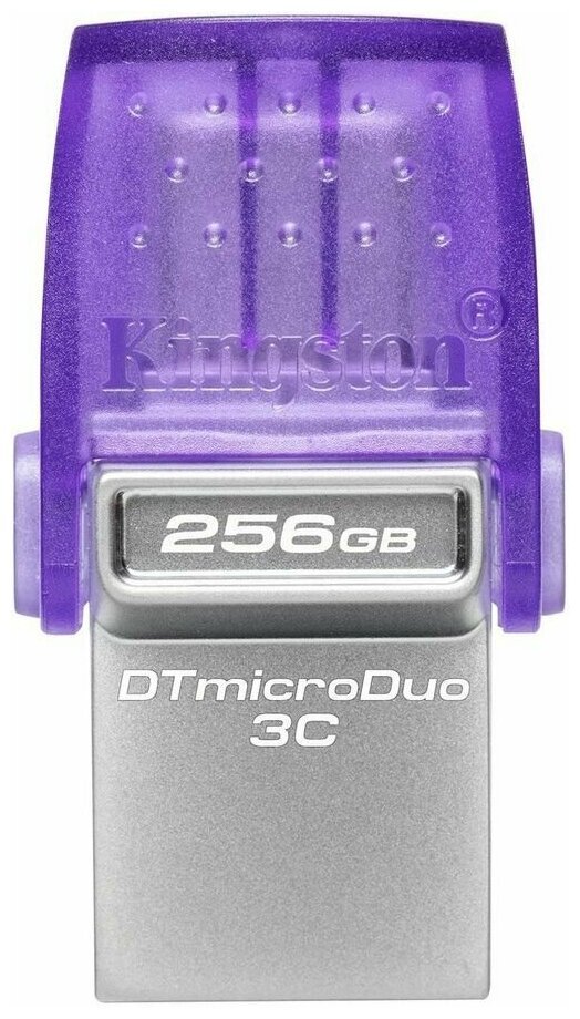 USB-флешка Kingston DTDUO3CG3 256GB USB3.2 (DTDUO3CG3/256GB)