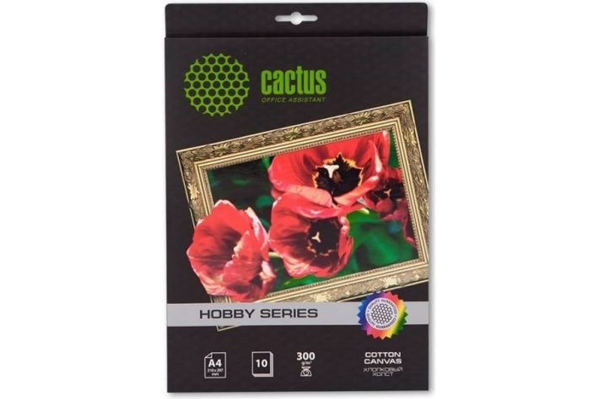 Холст Cactus CS-CA426010 A4/260г/м2/10л для струйной печати