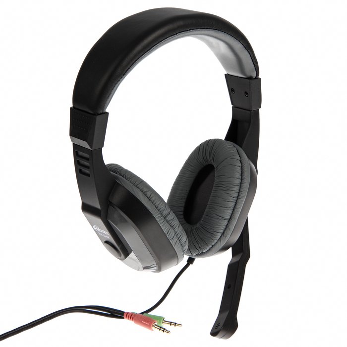 Гарнитура Ritmix RH-534M Gray мониторный тип O40 мм, микрофон, регулятор громкости, кабель: 2,4 м